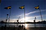 Cracking the flags